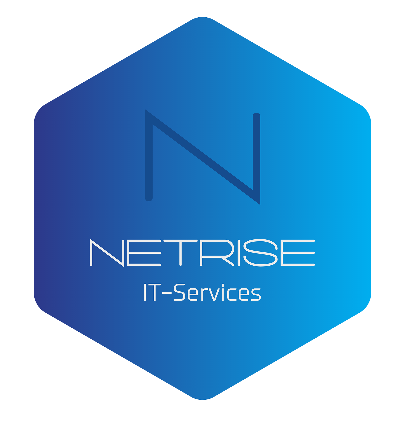 NetRise - Dein IT Upgrade